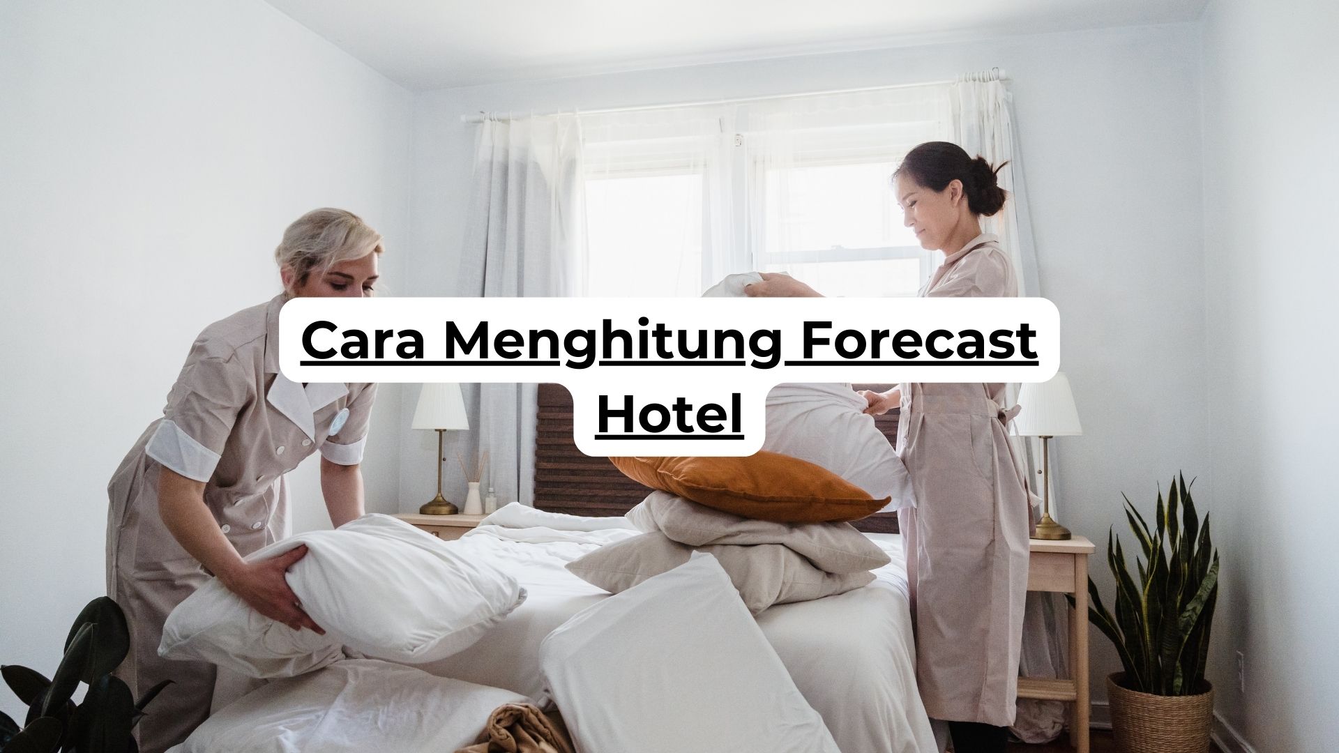 Cara Menghitung Forecast Hotel